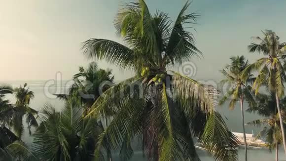 船漂浮的海湾景色令人难以置信午后棕榈树上有椰子树视频的预览图