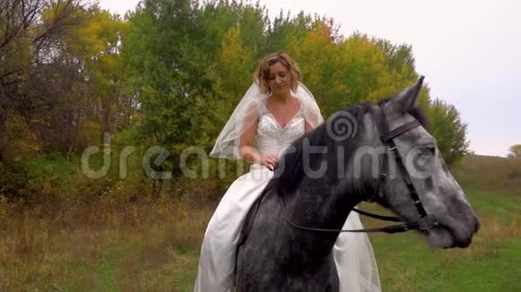 身穿白色婚纱的马女正在抚摸马关门视频的预览图