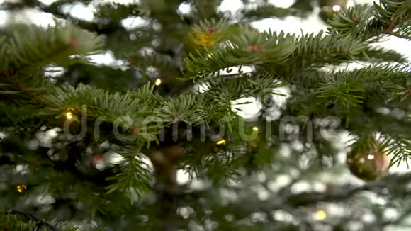 女人把干桔子放在圣诞树上装饰视频的预览图