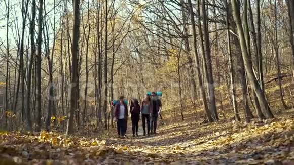 快乐的朋友在美丽的秋天森林里徒步旅行视频的预览图