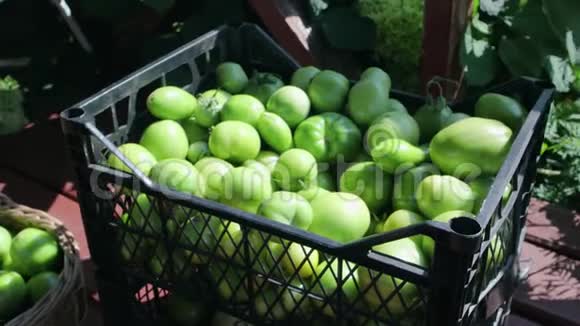 未成熟的绿色西红柿被堆放在市场上的一个黑色塑料盒子里视频的预览图