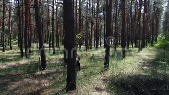 森林里一位手持长剑休息的女性野蛮人的空中镜头视频的预览图