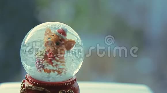玻璃球猪窗背景视频的预览图