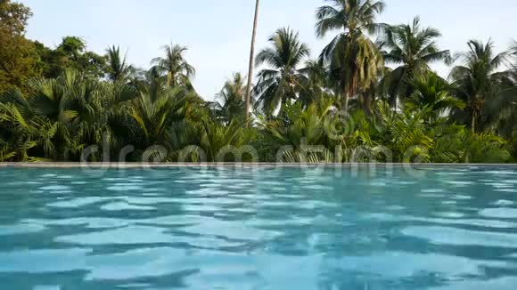 4K海滩附近游泳池的放松度假场景背景是椰子棕榈树旅游度假和放松视频的预览图