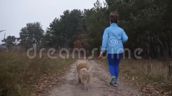 女性跑步者带着宠物在树林里慢跑视频的预览图