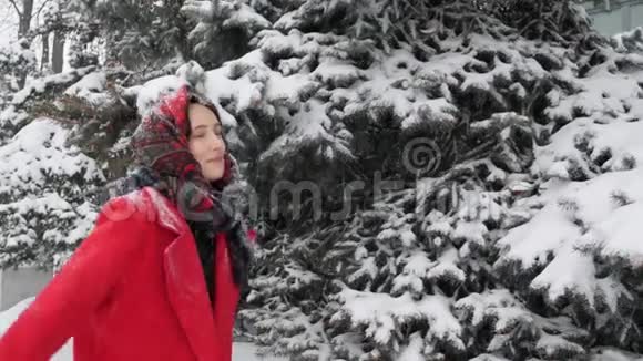 美丽的年轻白种人女人穿着红色外套在户外玩雪和圣诞树微笑和欢笑雪落得很漂亮视频的预览图