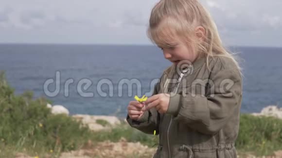 小女孩走在海边的公园里雏菊上的婴儿奇迹视频的预览图