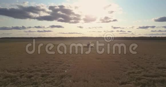 上景现代结合作物成熟小麦日落视频的预览图