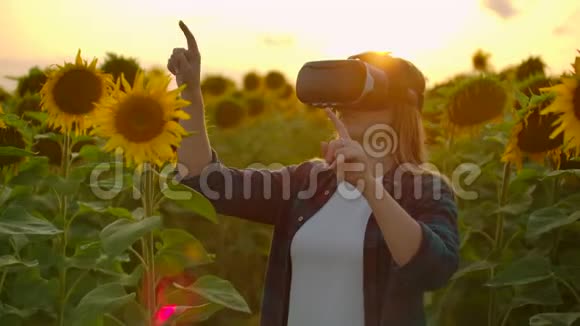 这名女学生正在太阳花田上戴VR眼镜视频的预览图