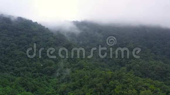 热带常绿森林山景带蒸云视频的预览图