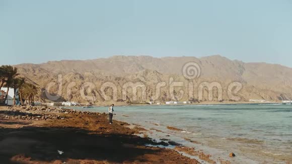 美丽的女人独自走在海边的石滩上海浪在岸边拍打埃及的西奈山在视频的预览图