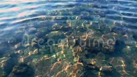 晶莹剔透的离岸暗礁水视频的预览图