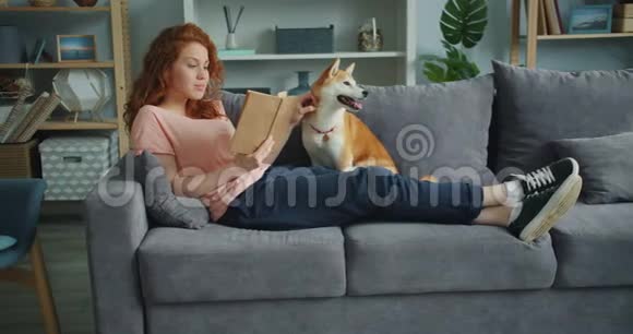 可爱的女孩看书抚摸着平躺在沙发上的石坝小狗视频的预览图
