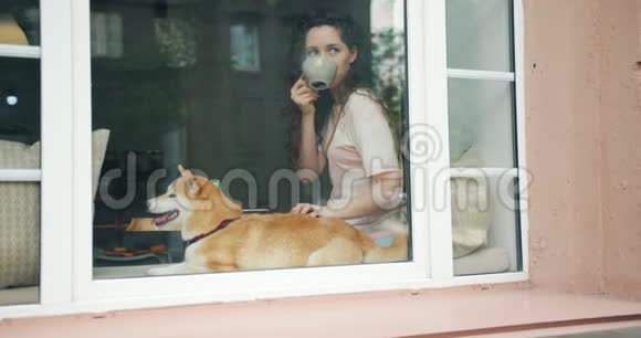 漂亮的女人喝着咖啡抚摸着可爱的小狗坐在咖啡馆的窗台上视频的预览图