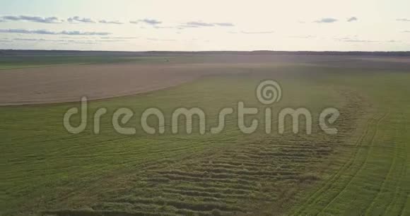 空中全景绿色草地和黄色麦田视频的预览图