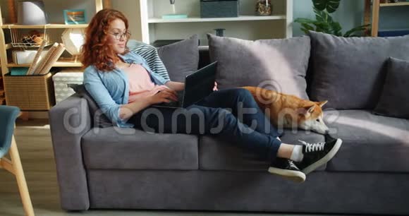 快乐的学生坐在沙发上用笔记本电脑公寓里有一只狮子狗视频的预览图