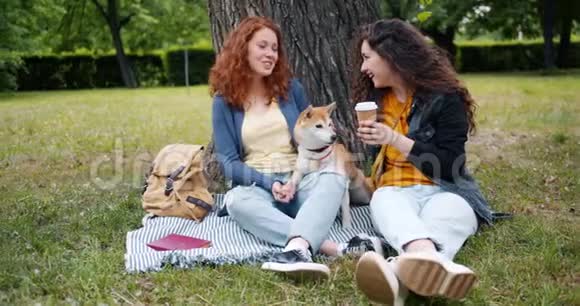 美丽的姐妹们在公园的草坪上说着抚摸狗享受夏天视频的预览图