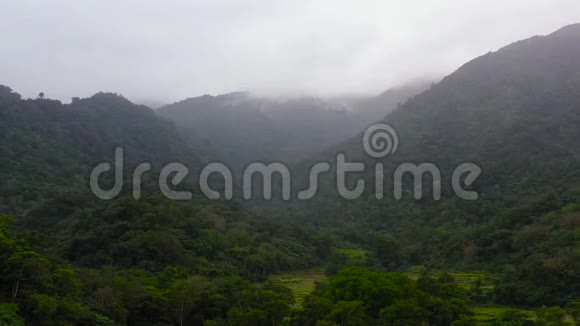 热带常绿森林山景带蒸云视频的预览图
