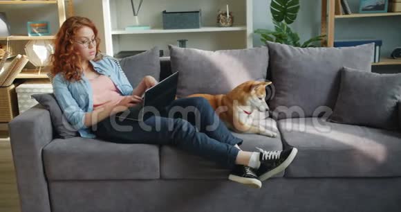 年轻女性自由职业者坐在沙发上手提电脑打字可爱的狗视频的预览图