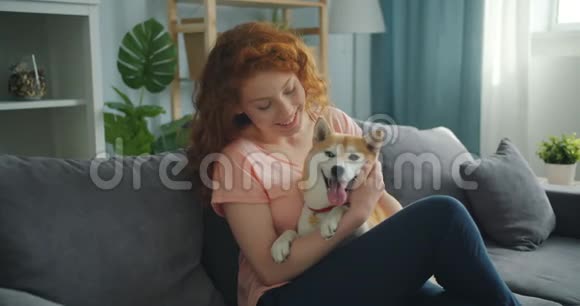 可爱的宠物主人和坐在公寓沙发上的可爱的石巴狗说话视频的预览图