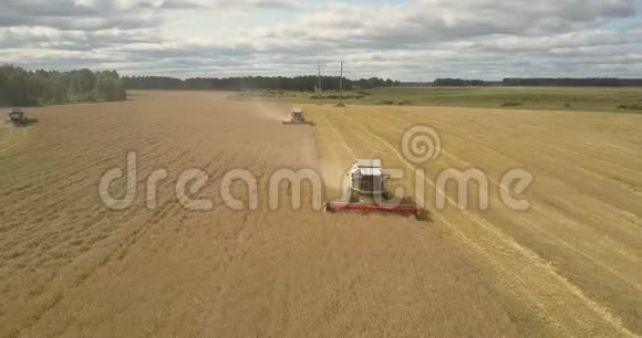 全景将收获的成熟小麦结合在田间视频的预览图