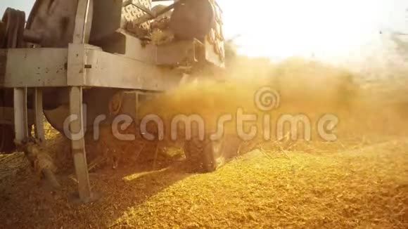 蒸汽割草机切割干硬的草在村庄后面抛出巨大的切碎的茎干和灰尘农视频的预览图
