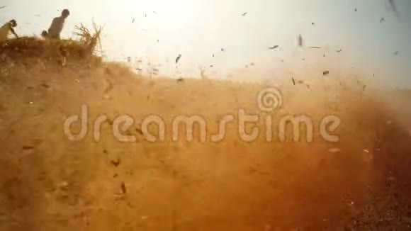 农业工作草割碾碎茎小块散落在尘土飞扬的云彩里把农民紧紧地夹在背景村沙漠里视频的预览图