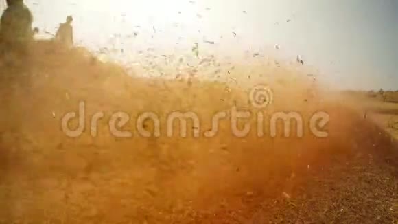农民的剪影在切碎的茎和灰尘的大堆食物的云彩骆驼拉贾斯坦邦视频的预览图