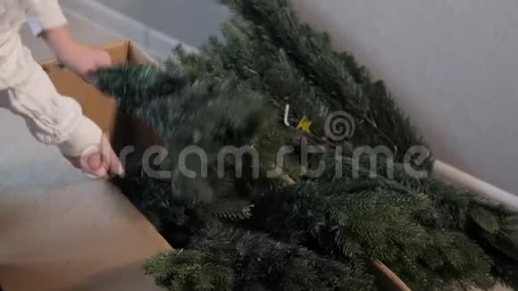 女人从盒子里拿出人造圣诞树树枝视频的预览图