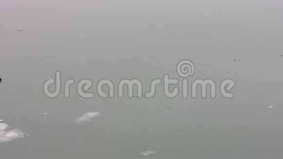 冰上的天鹅视频的预览图