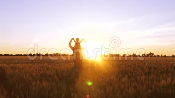爸爸带着一个小孩子在他的肩膀上走在一片黄色的田野上小麦在美丽的夕阳下视频的预览图