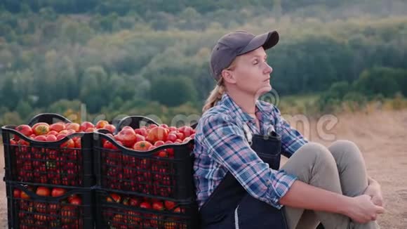 女农下班后休息坐在盒子旁边放着西红柿视频的预览图