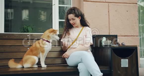 可爱的女孩喂养可爱的石坝小狗坐在户外咖啡馆的长凳上视频的预览图