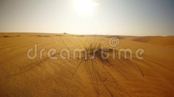 沙丘上的干草在沙漠里的炎热的一天视频的预览图