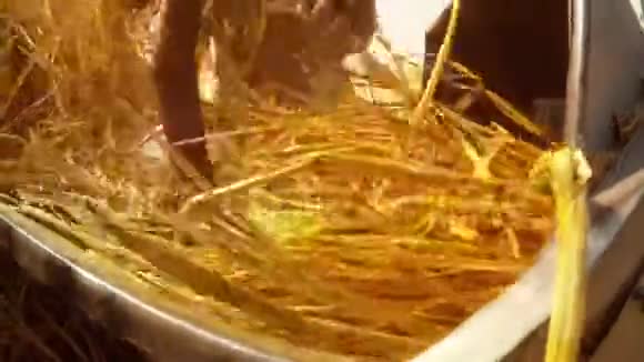 农场工人把高粱茎放在截草机里把它的许多尘土都碾碎了沙漠也被碾碎了视频的预览图