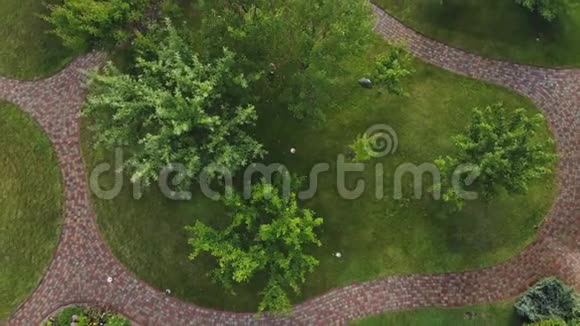 空中无人机景观自动花园浇水系统不同喷头安装在草坪下视频的预览图