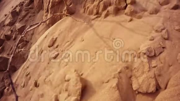 沙子慢慢地破碎从沙丘上落下一些干燥的树枝在沙漠里Thar关闭了Khuri视频的预览图