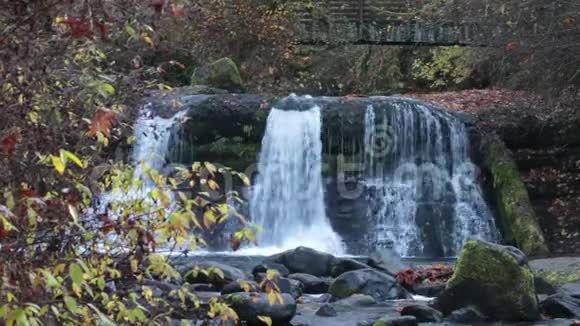 在俄勒冈州林恩县的麦道尔溪公园一个美丽的瀑布在秋天流动视频的预览图