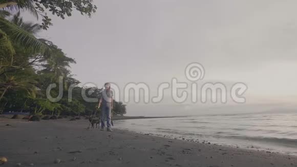 戴着金属探测器的中年男子戴着耳机在日落时分和他的狗在海洋热带沙滩上工作视频的预览图