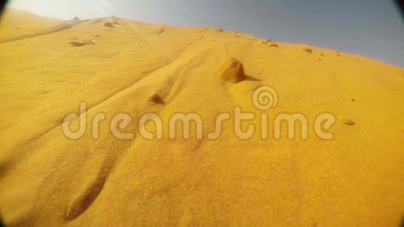一些动物在沙丘沙漠沙漠靠近拉贾斯坦邦视频的预览图
