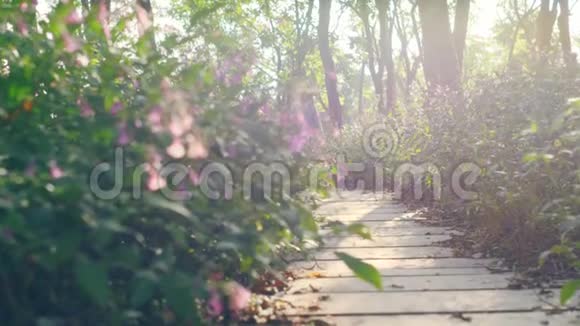 美丽的亚洲小女孩穿过公园的花田视频的预览图