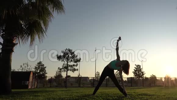 一个年轻漂亮的女孩在棕榈树上做瑜伽慢动作4k剪影视频的预览图