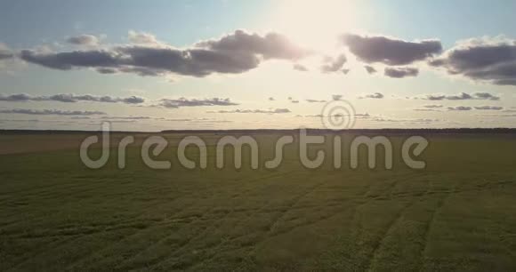 在长满绿草的新鲜田野上的空中运动视频的预览图