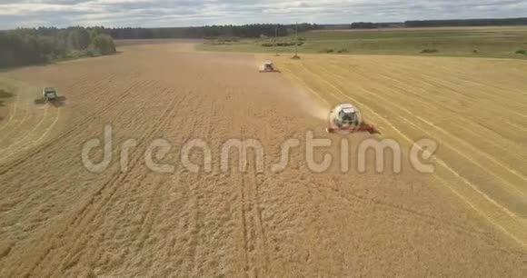 上观收割机收割者在田间收割小麦视频的预览图