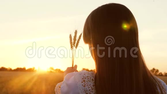年轻的女孩手里拿着小麦看着一片成熟的麦子上美丽的日落视频的预览图