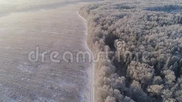 清晨的雪道冰天雪地的英尼树视频的预览图