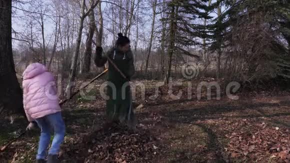 使用耙树叶收集园艺工作的家庭视频的预览图