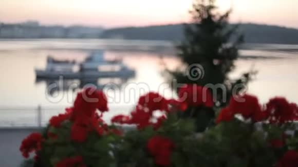 两个女孩和两个男人在一个夏天的咖啡馆里举起香槟杯美丽的湖景视频的预览图