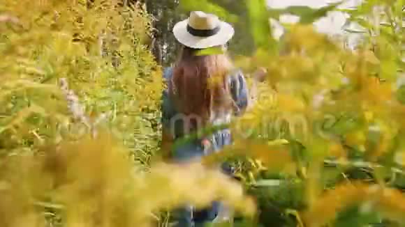 在森林里散步的女人穿着蓝色的连衣裙和草帽视频的预览图