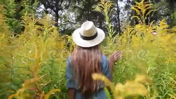在森林里散步的女人穿着蓝色的连衣裙和草帽视频的预览图